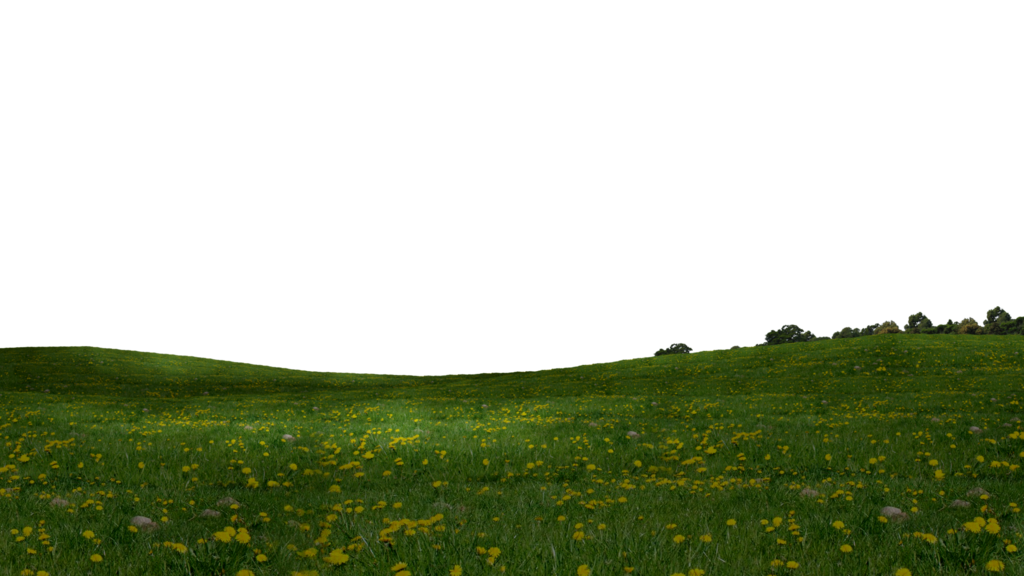 Field Grass Green Transparent PNG Image