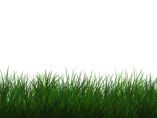 Field Grass Green Transparent PNG Image