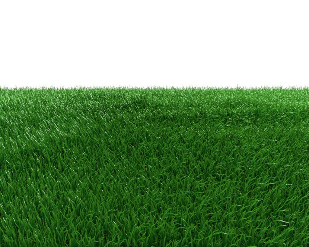 Field Grass Green Landscape Transparent PNG Image