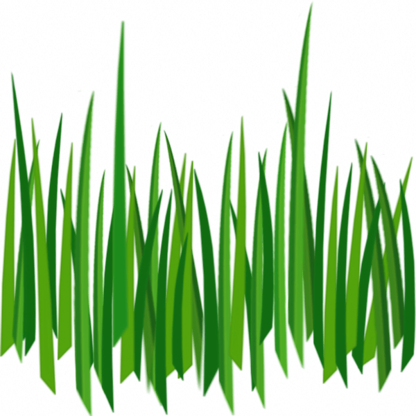 Grass Green Grass Transparent PNG Image