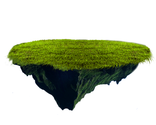 Grass Transparent PNG Image