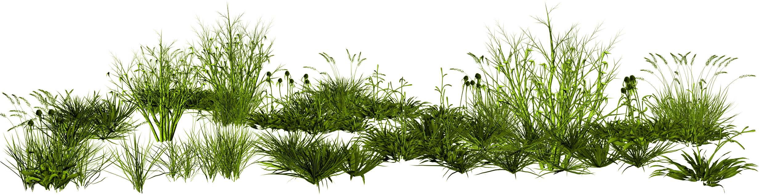 Grass Transparent PNG Image