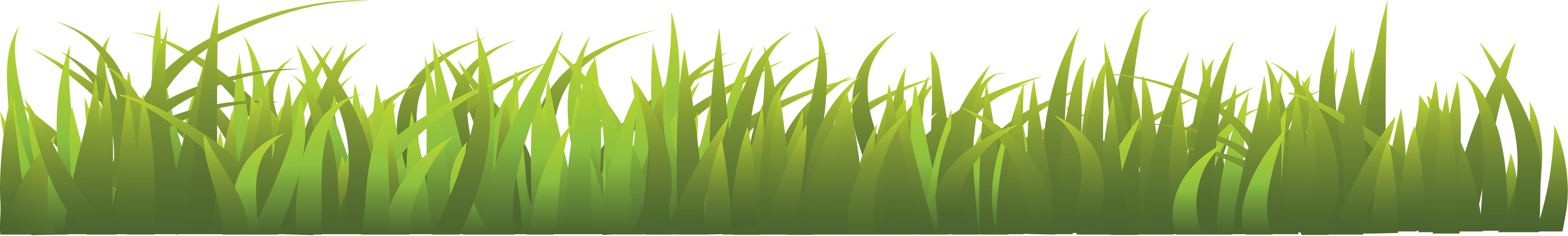 Grass Transparent PNG Image