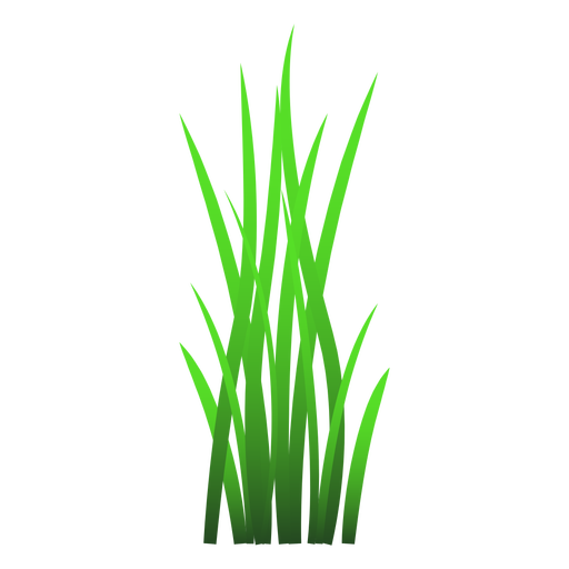 Vector Grass Transparent PNG Image