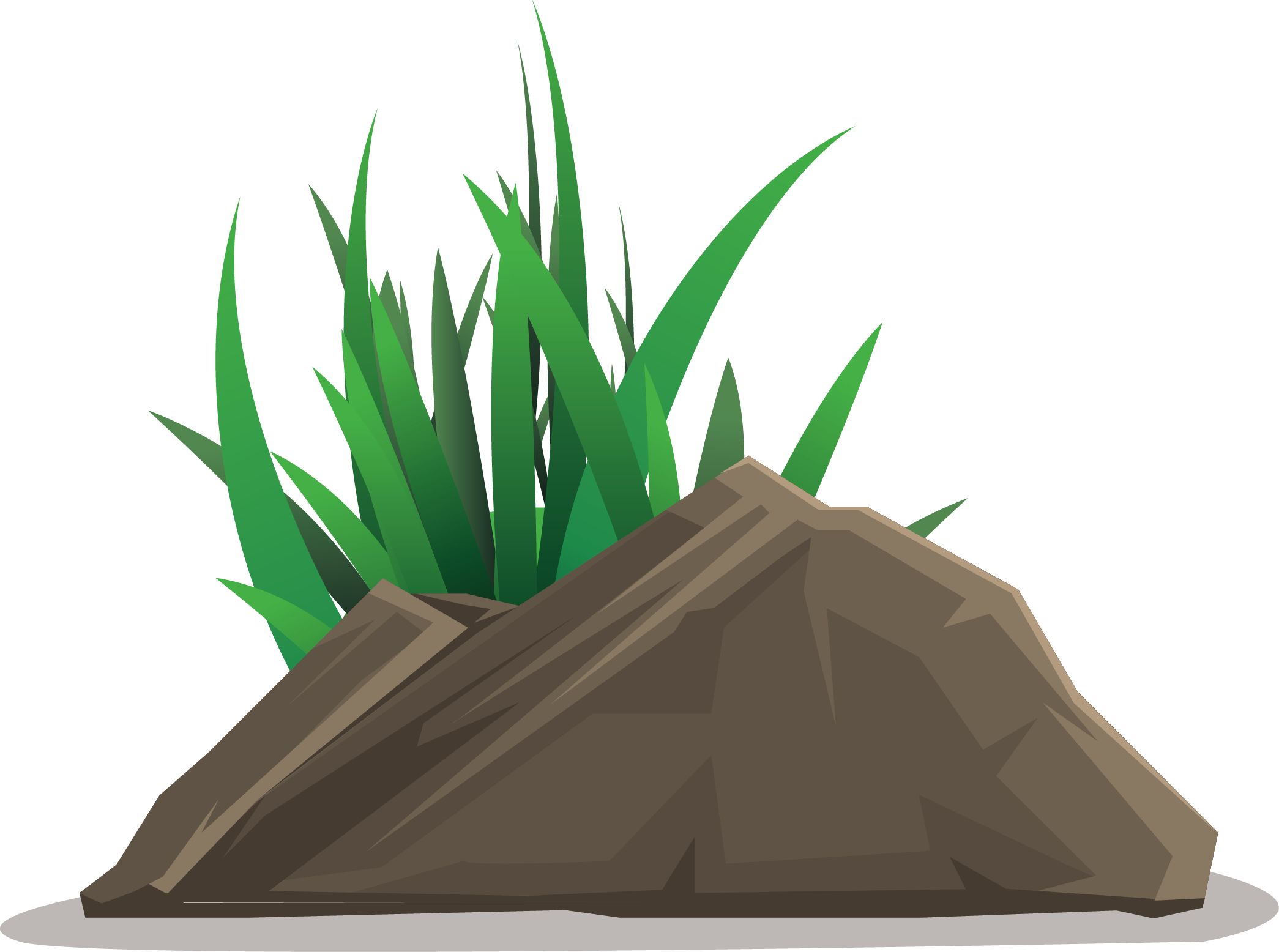 Vector Grass Transparent PNG Image