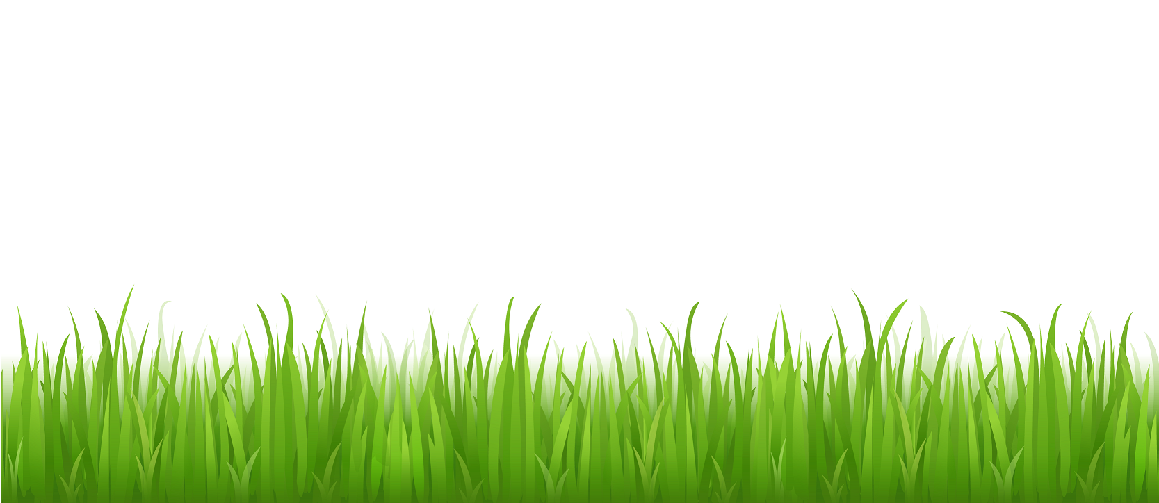 Vector Grass Transparent PNG Image