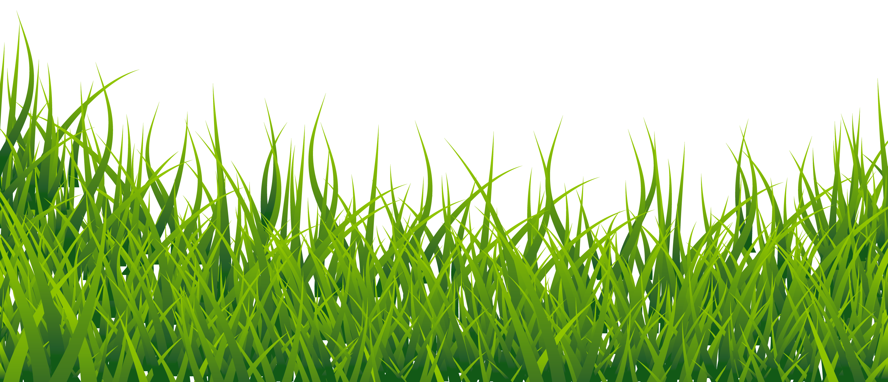 Vector Grass Transparent PNG Image