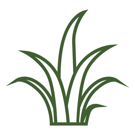 Vector Grass Transparent PNG Image