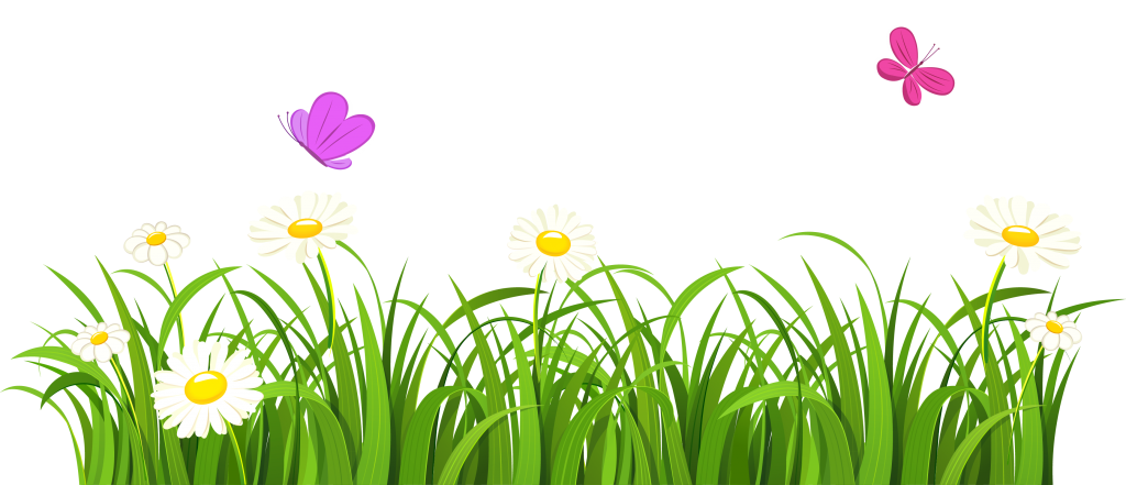 Vector Grass Transparent PNG Image