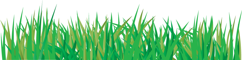 Vector Grass Transparent PNG Image