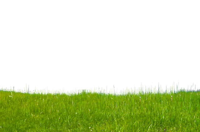 Grass Green Transparent PNG Image