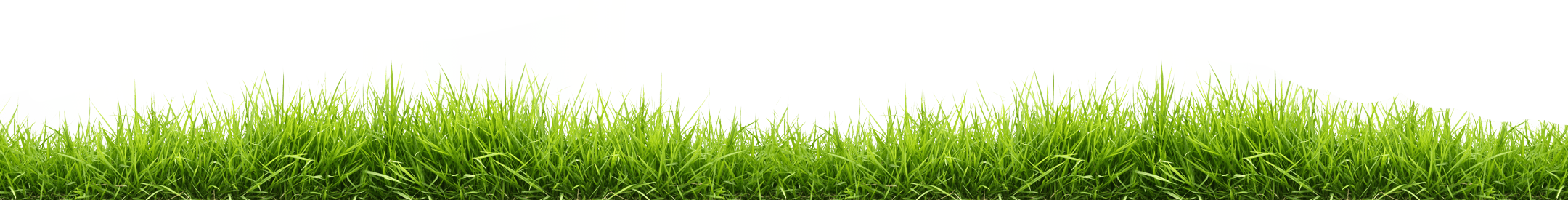 Grass Green Transparent PNG Image