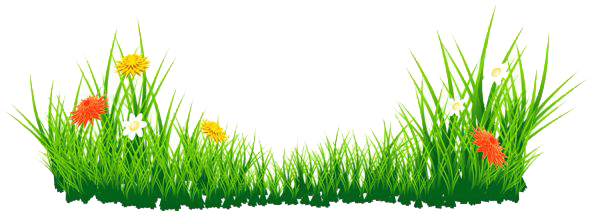 Grass Green File Transparent PNG Image