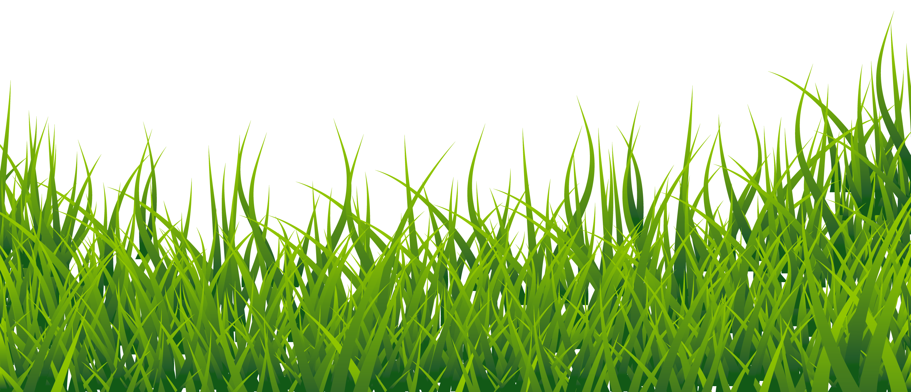 Vector Grass Green Transparent PNG Image