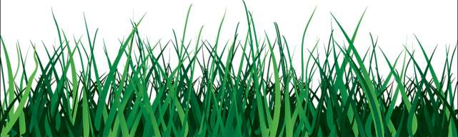 Vector Grass Green Transparent PNG Image