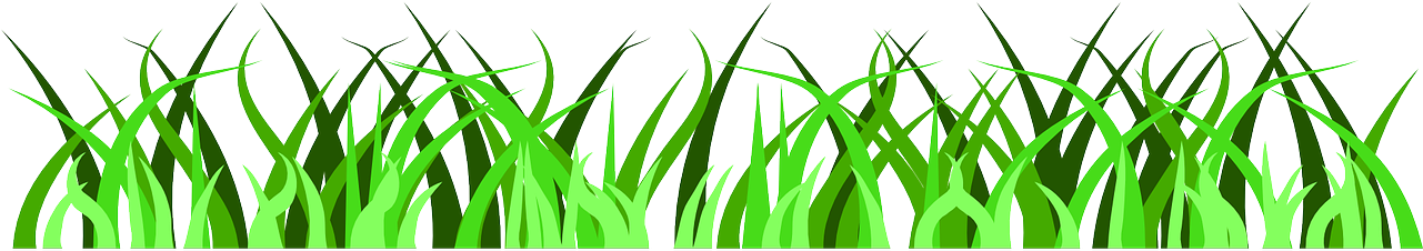 Vector Grass Green Transparent PNG Image