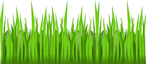 Vector Grass Green Transparent PNG Image