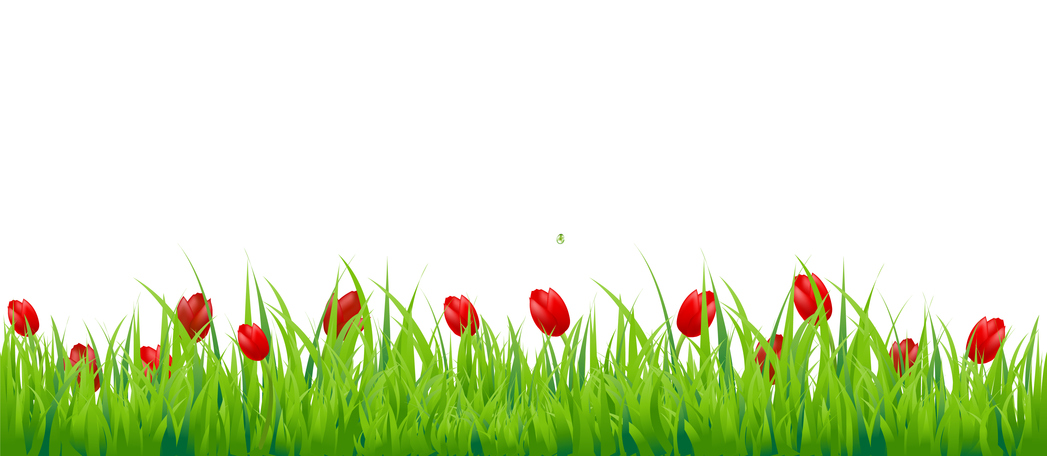 Grass Natural Transparent PNG Image