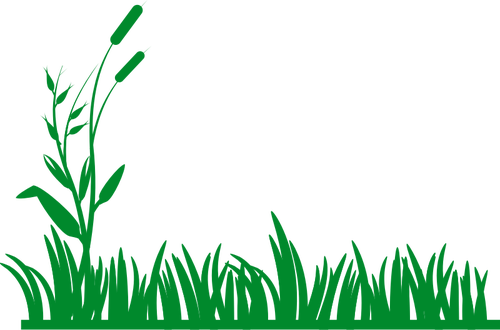 Vector Grass Natural File Transparent PNG Image