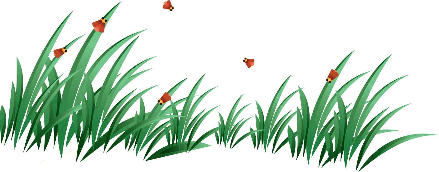 Grass Green Grass Transparent PNG Image