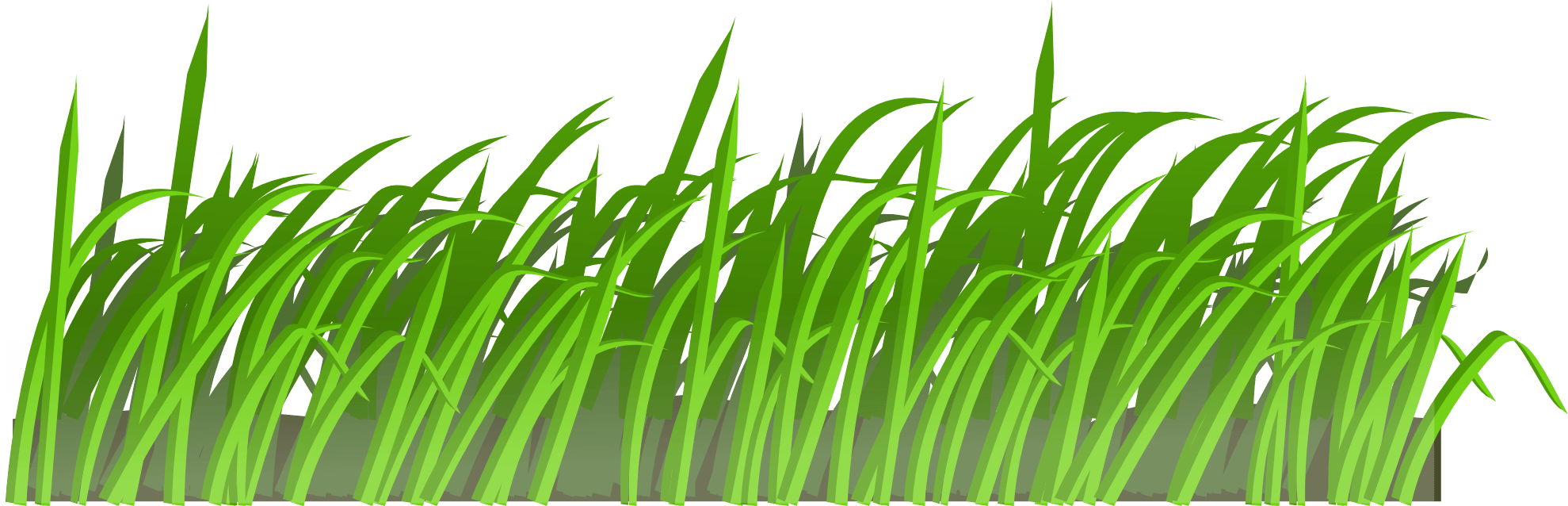 Grass Green Grass Transparent PNG Image