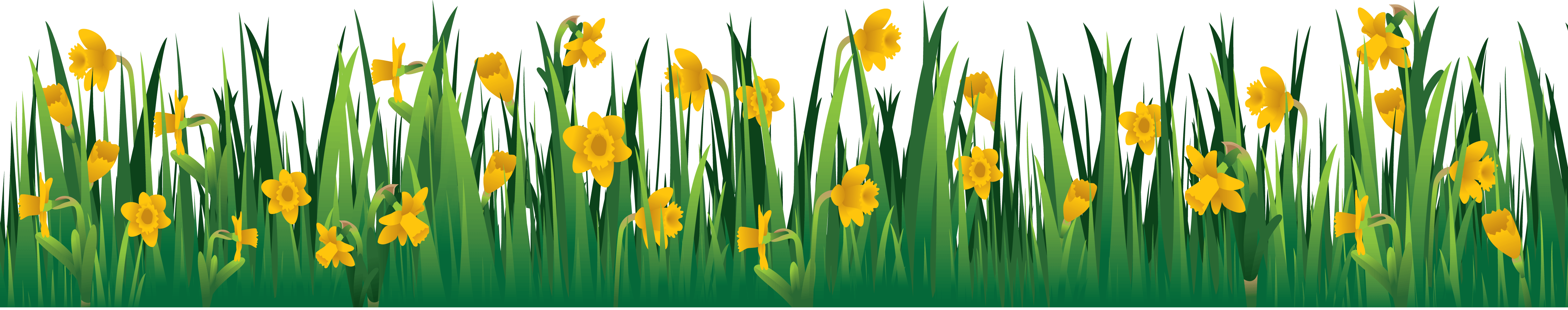 Grass Green Transparent PNG Image