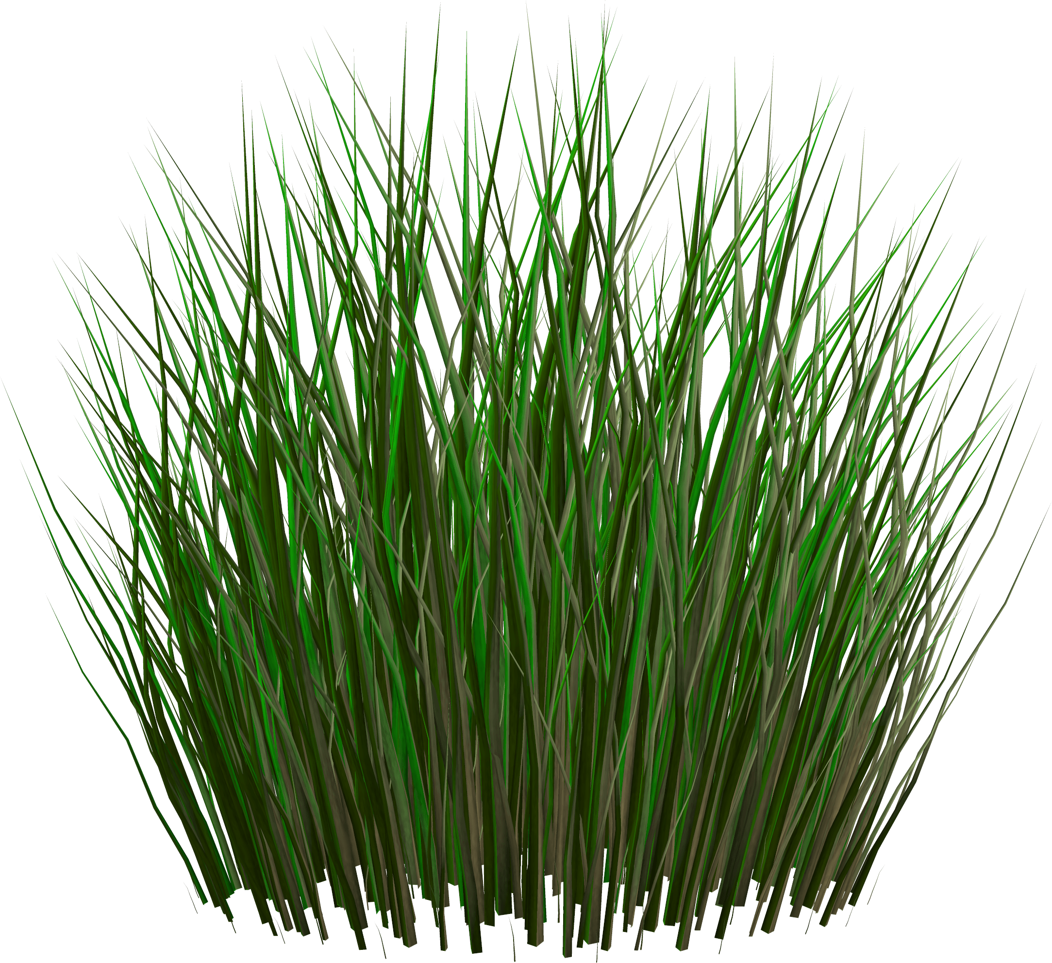 Grass Green Grass Transparent PNG Image