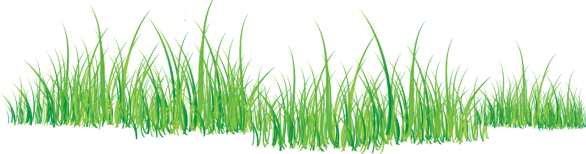 Grass Green Grass Transparent PNG Image