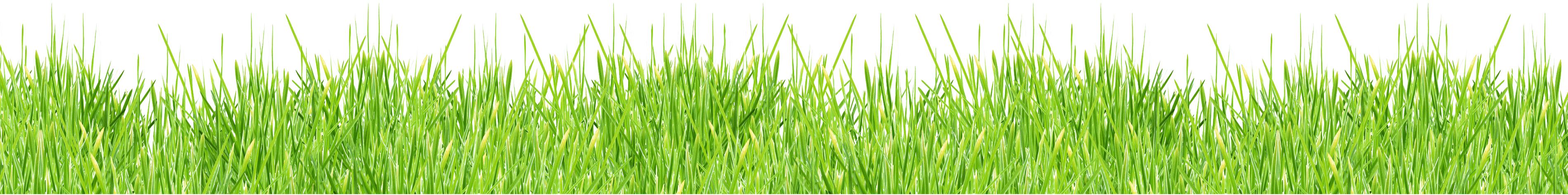 Grass Green Transparent PNG Image