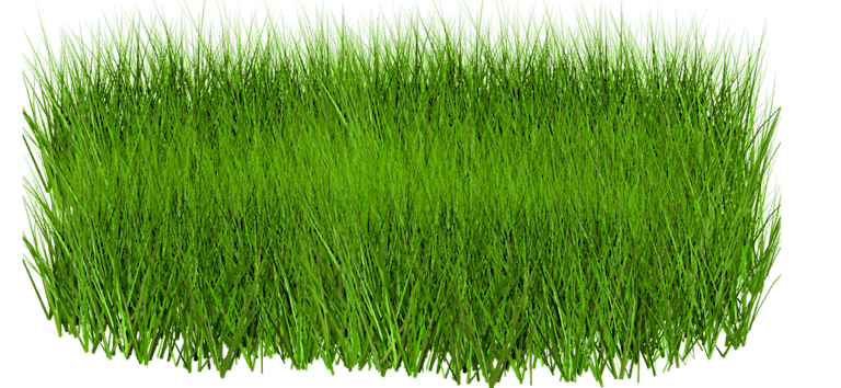Grass Green Transparent PNG Image