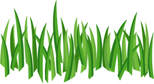 Grass Green Transparent PNG Image