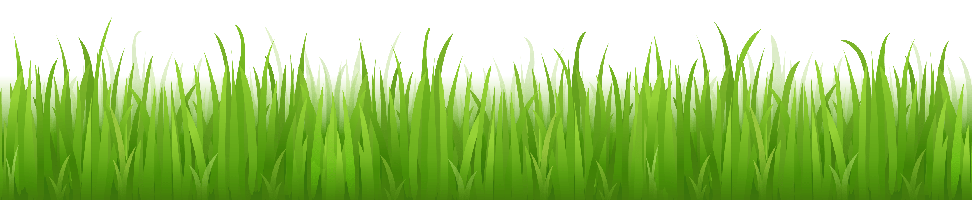 Grass Green Transparent PNG Image
