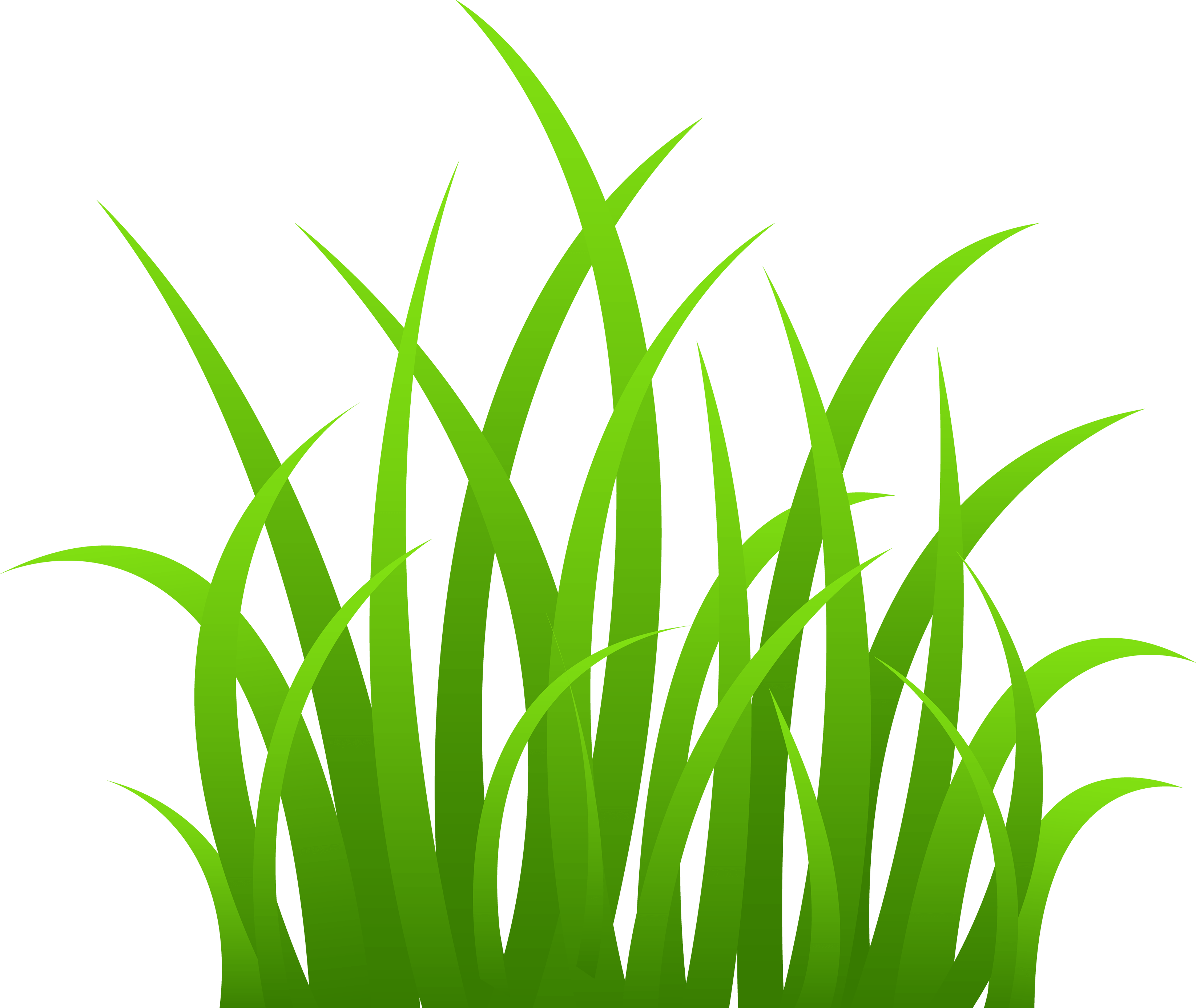 Grass Green Grass Transparent PNG Image