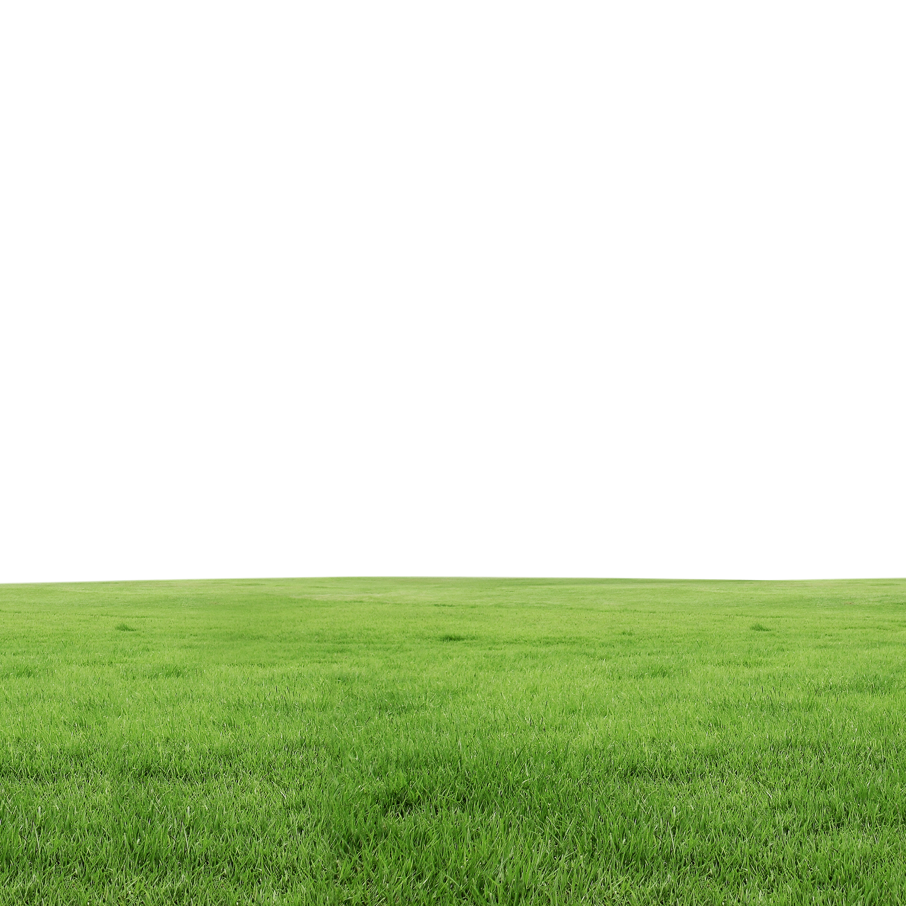 Lawn Grass Transparent PNG Image