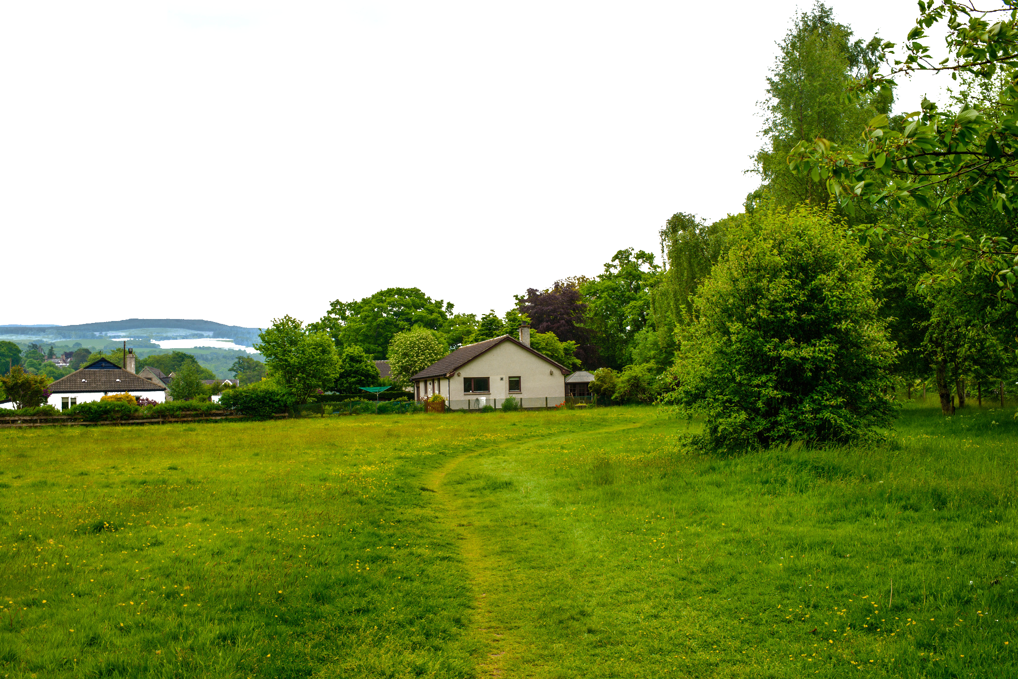 Suburb Lawn Grass Green Landscape Transparent PNG Image