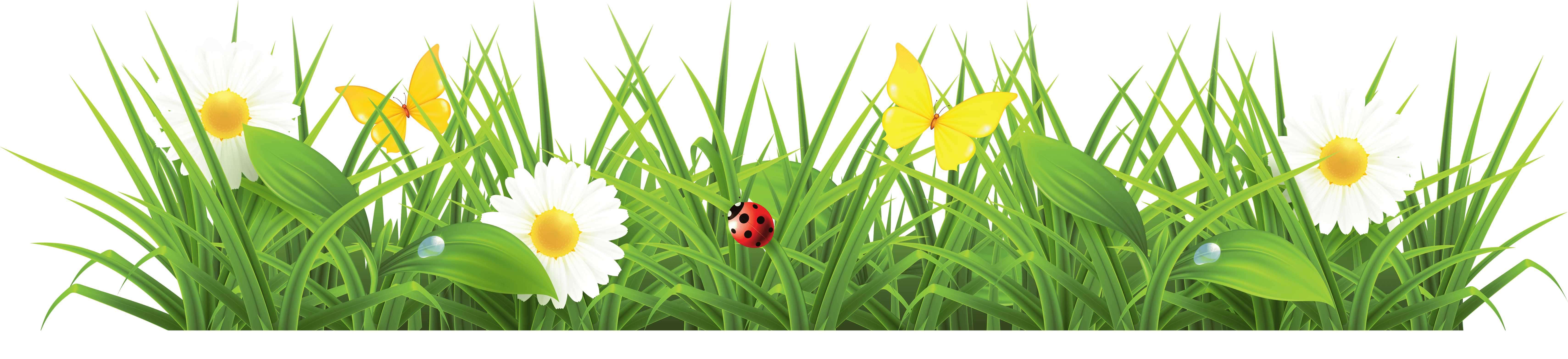 Grass Green Grass Transparent PNG Image