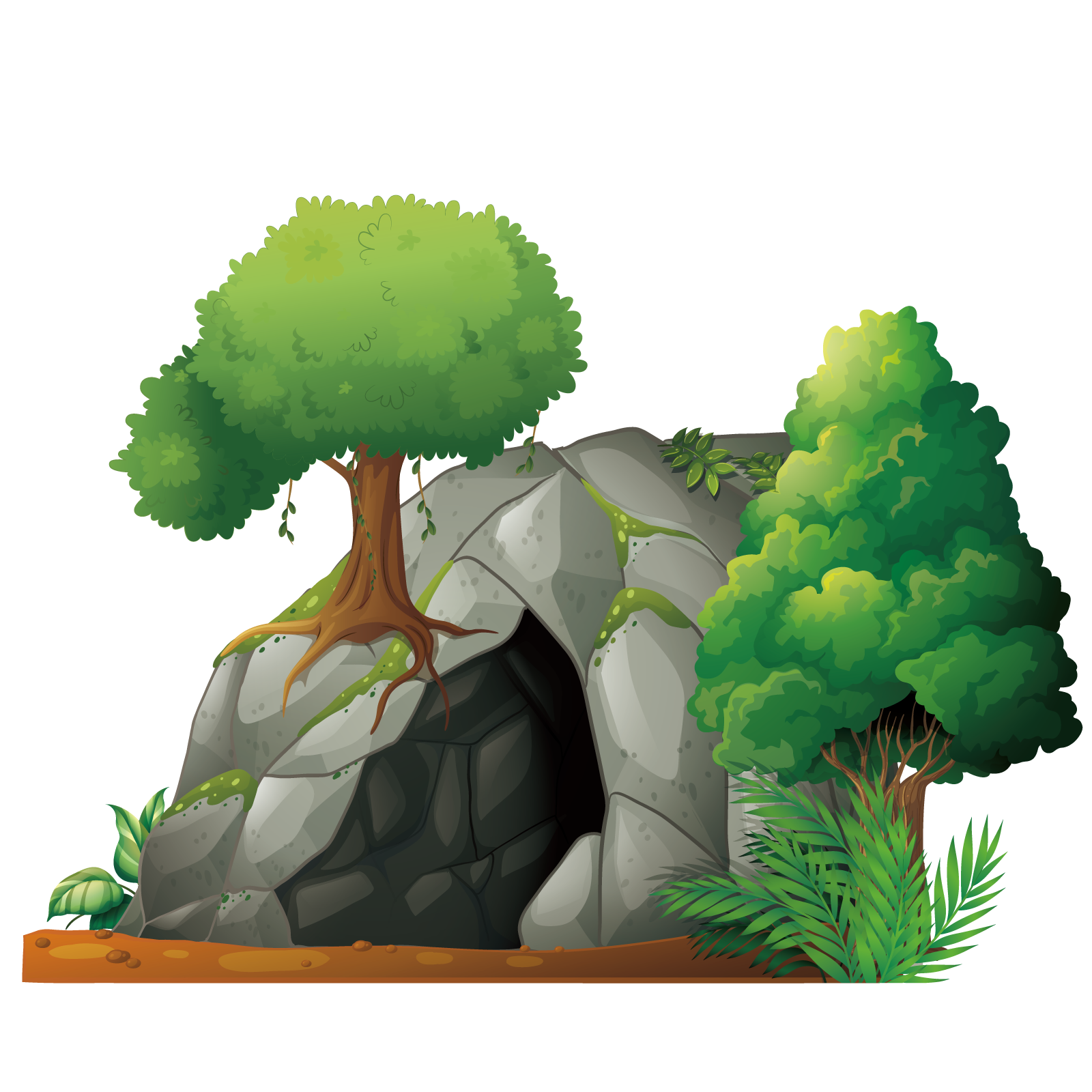 Plant Caveman Cave Leaf graphy Transparent PNG Image