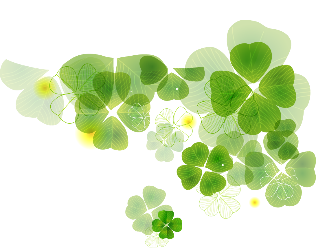 Shamrock Clover Leaf Fourleaf Transparent PNG Image