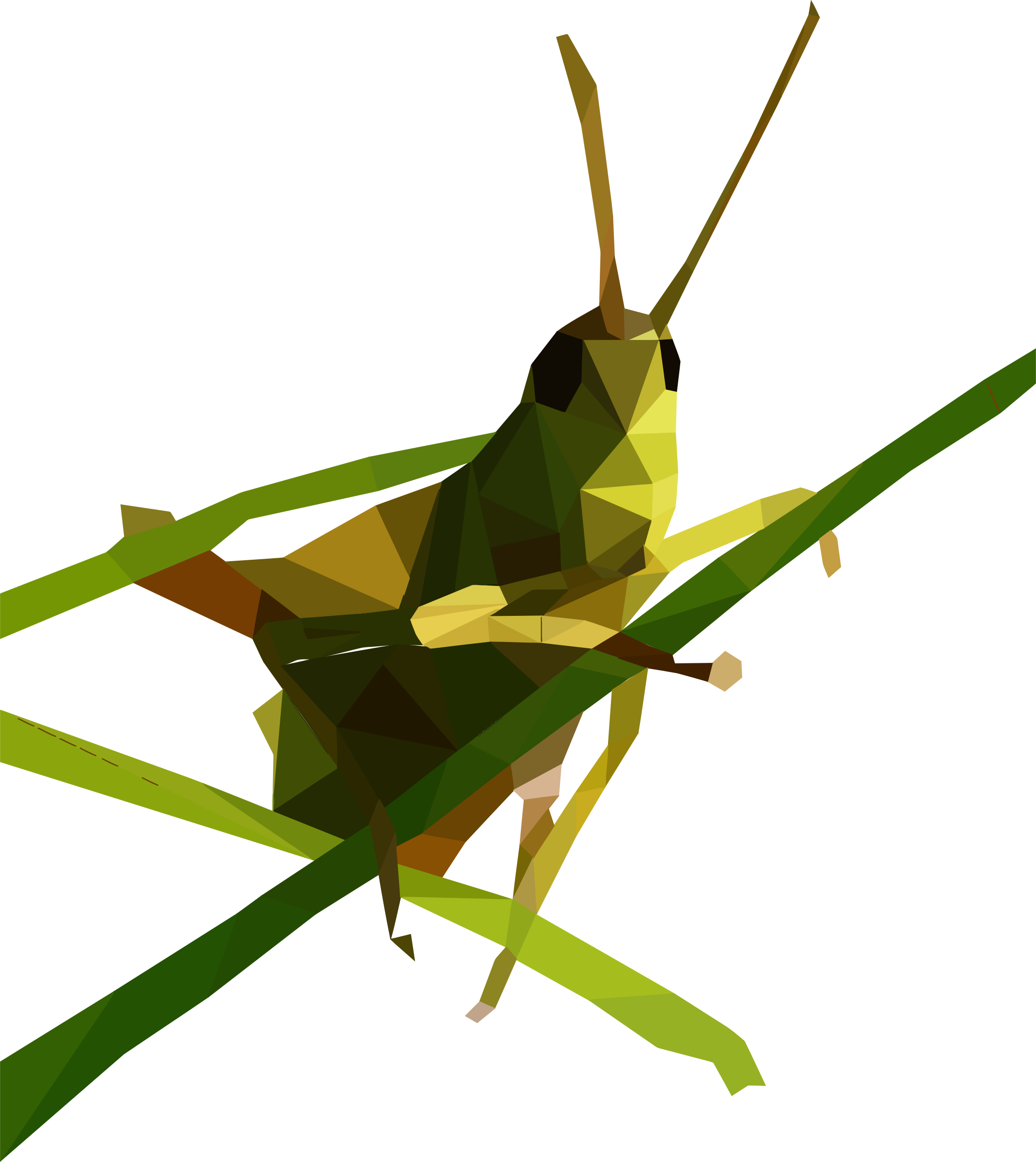 Grasshopper Transparent PNG Image