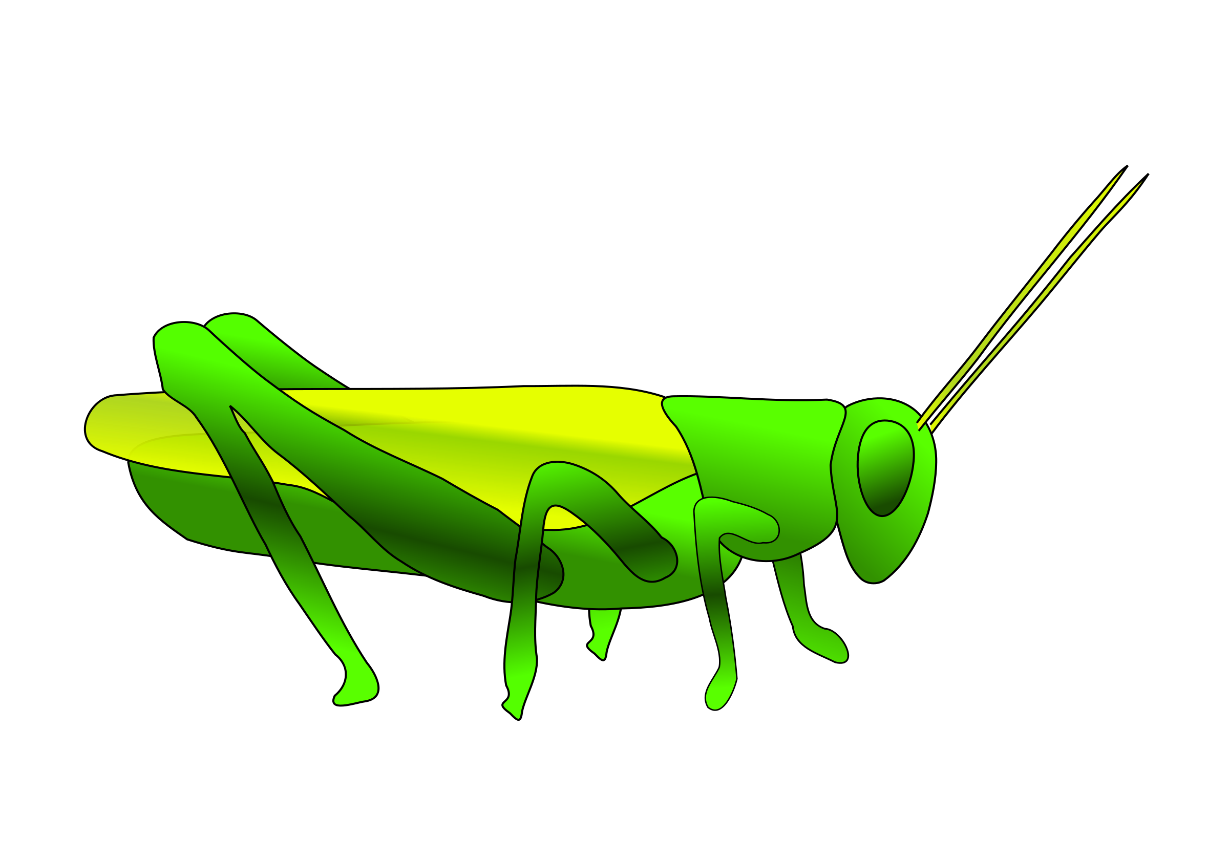 Grasshopper Transparent PNG Image
