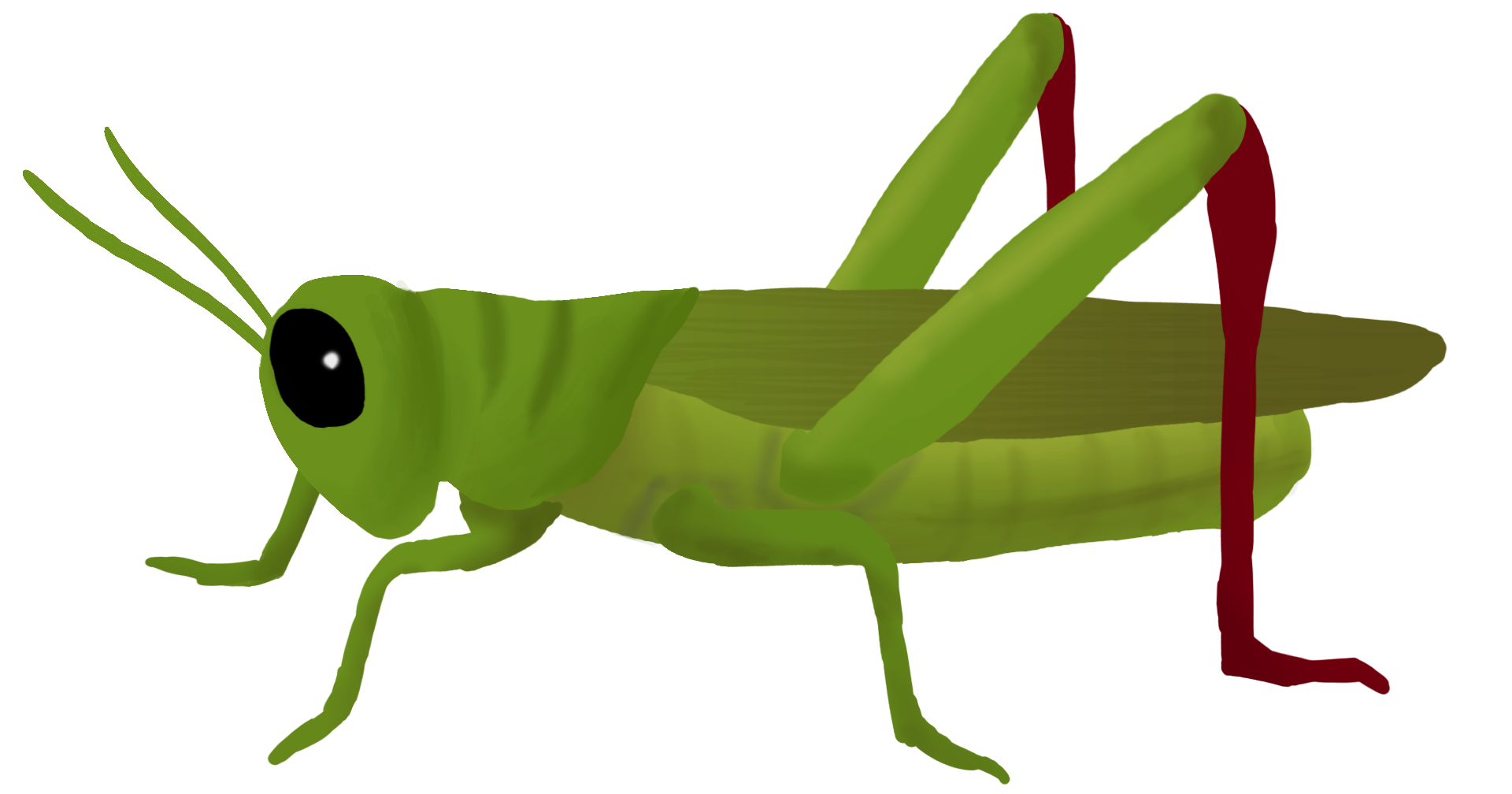 Grasshopper Transparent PNG Image