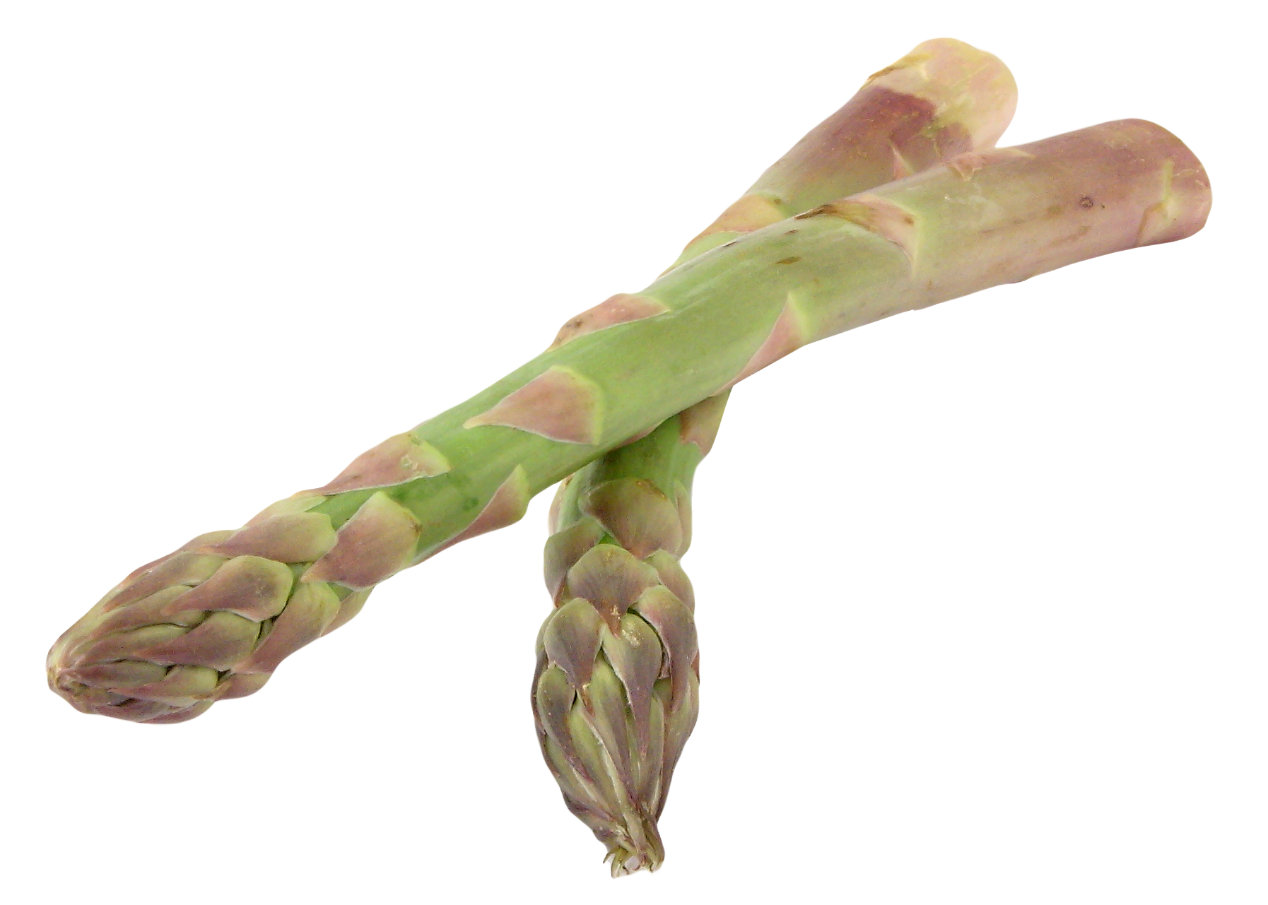Asparagus Bundle File Transparent PNG Image