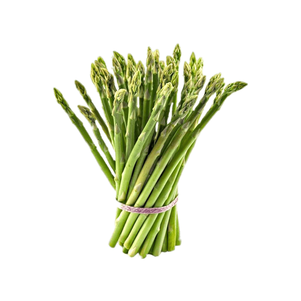 Asparagus Bundle File Transparent PNG Image