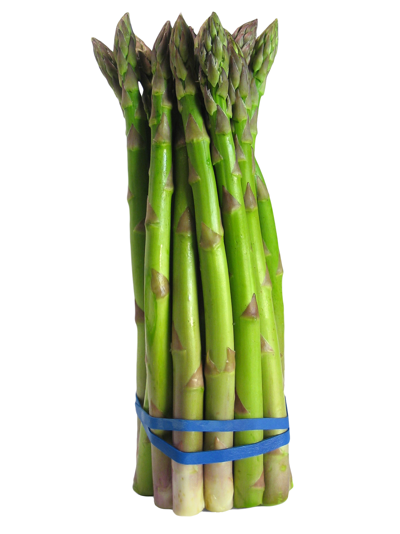 Asparagus Bundle File Transparent PNG Image