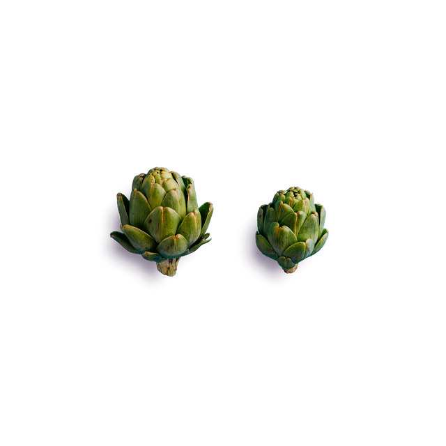 Single Artichoke Transparent PNG Image