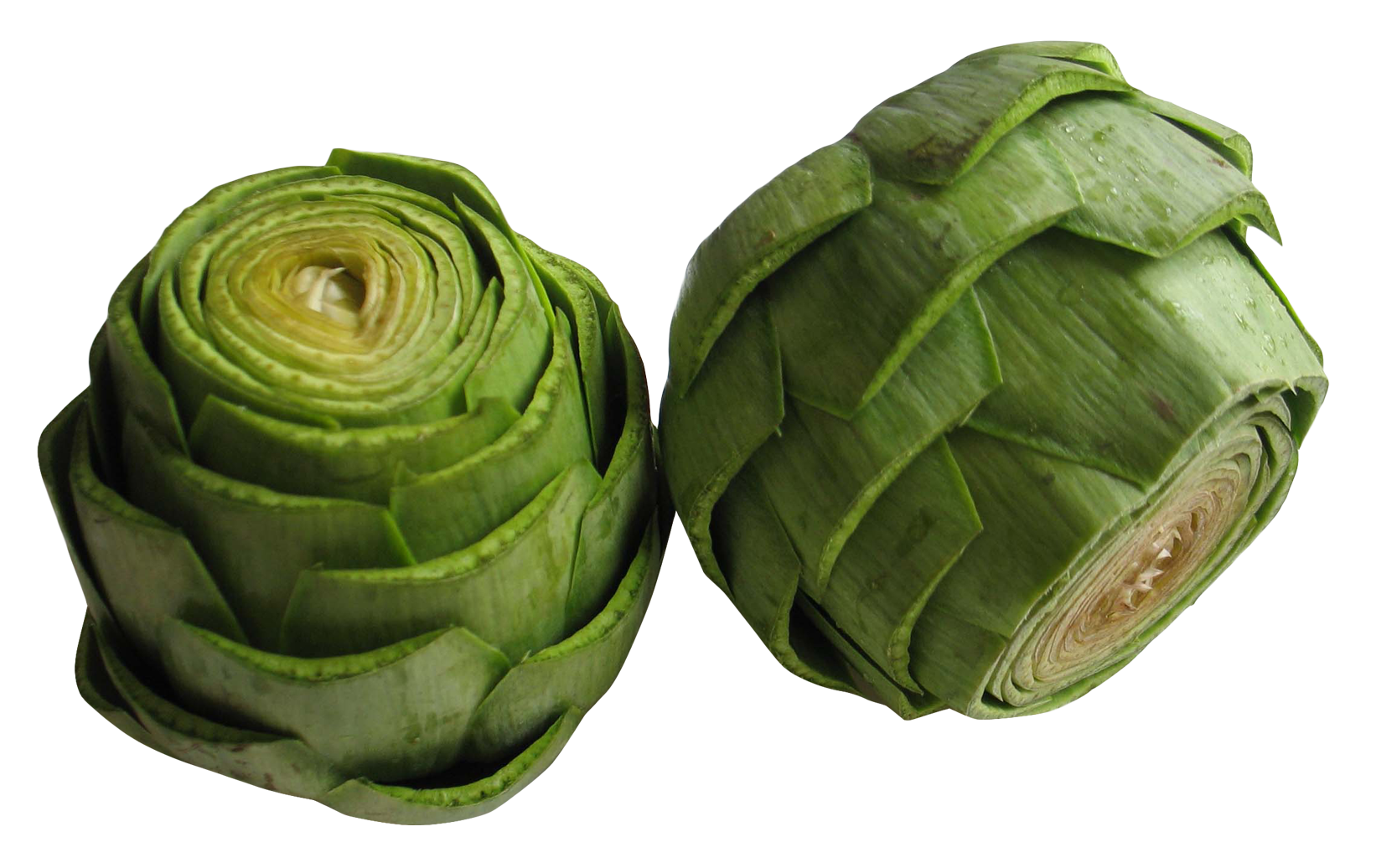 Single Artichoke Transparent PNG Image
