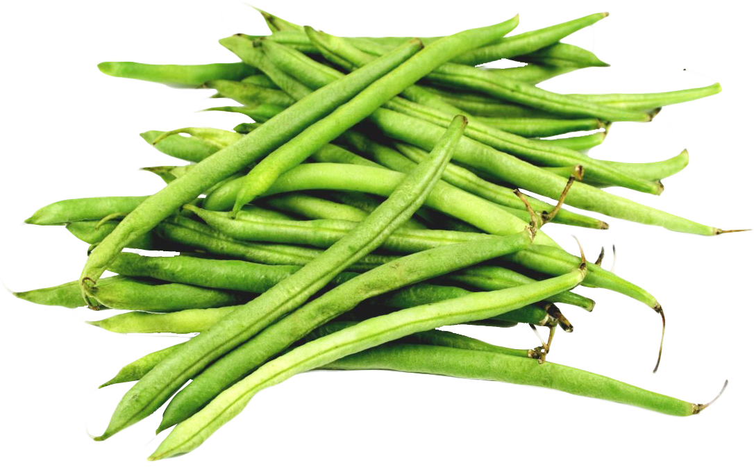 Beans Green Transparent PNG Image