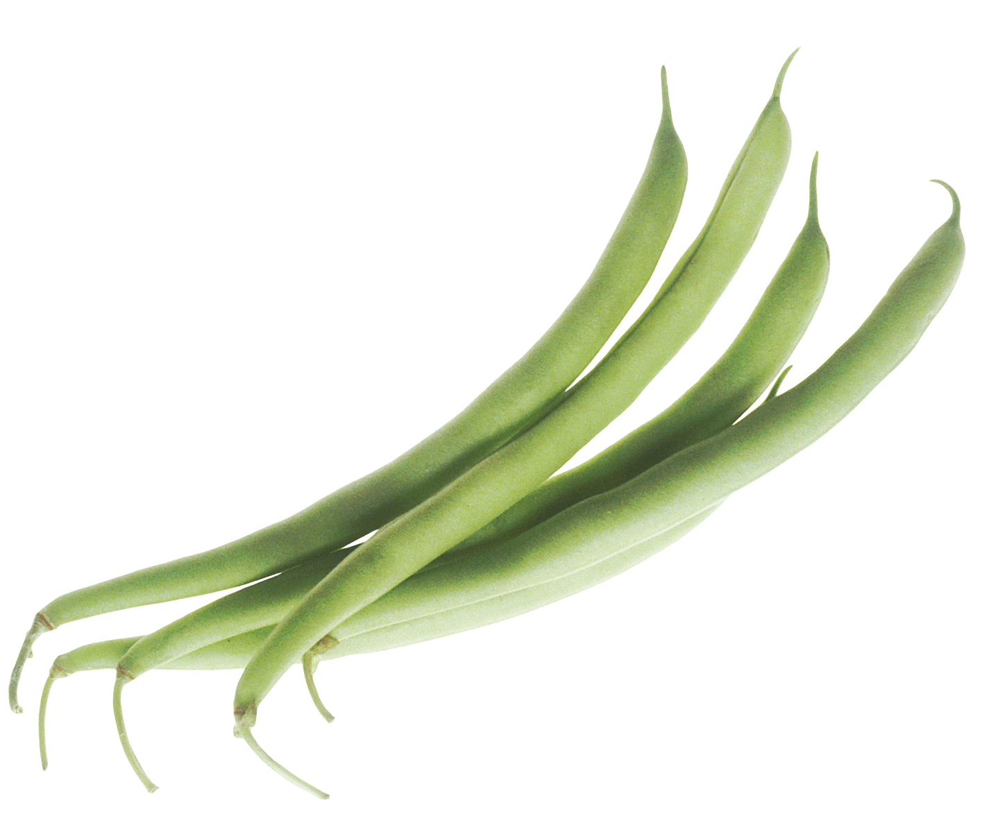 Vegetable Beans Green Transparent PNG Image