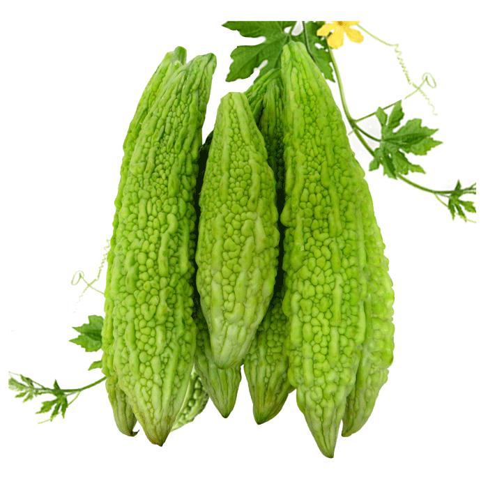 Gourd Leaves Bitter Transparent PNG Image