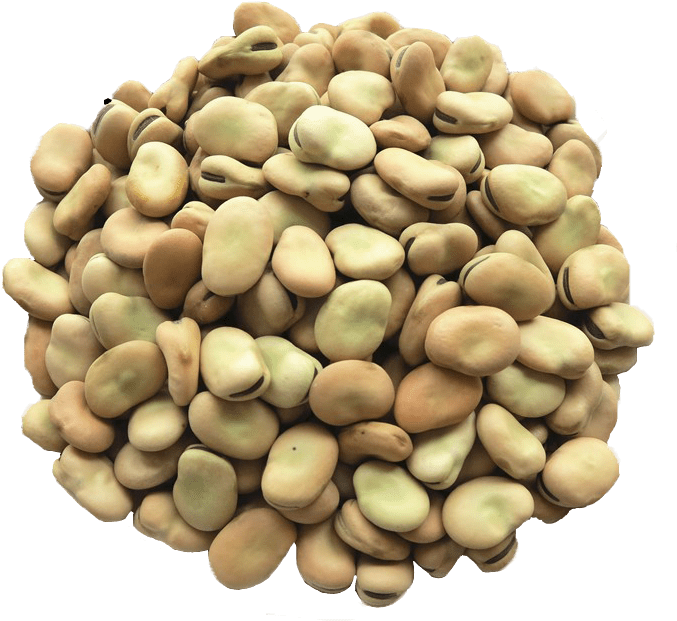 Beans Dried Transparent PNG Image